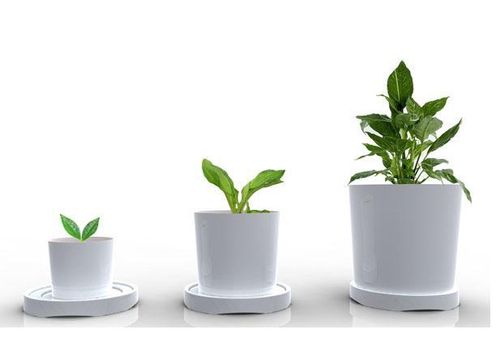 【Living Abundantly】Growth Requires Enjoying the Work of Your Hands