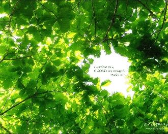 【Living Abundantly】Invest in Your Own Growth