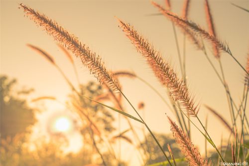 March 2021: Strike the Dragon of Lust!