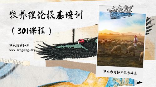 Pastoral Theology Foundation Training (301 Course) - Lesson 3: Growing People is Key