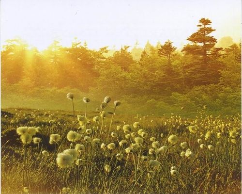 【Sermon】- Knowing the Devil's Schemes Series 01: Tricked by Your Own Schemes!