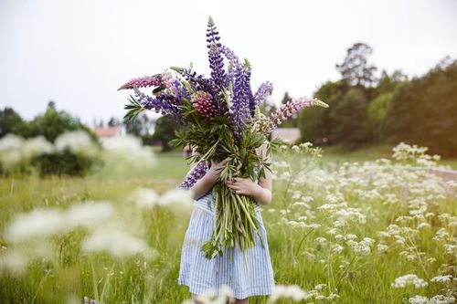 【Course】Chinese Mingding Destiny Concept - Lesson 8: The Church Must Be Constantly Renewed!