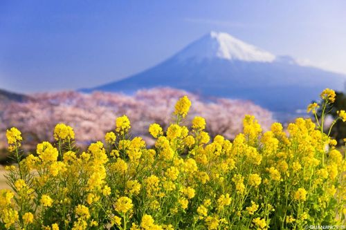 【Sermon】- Mingding Series 07: Making Up in Our Flesh What Is Still Lacking in Regard to Christ’s Afflictions for the Church