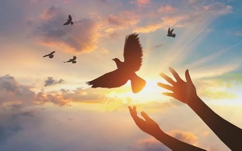 【Bible Study】Obadiah Chapter 01 - Esau Shall Dwell Beneath All Nations